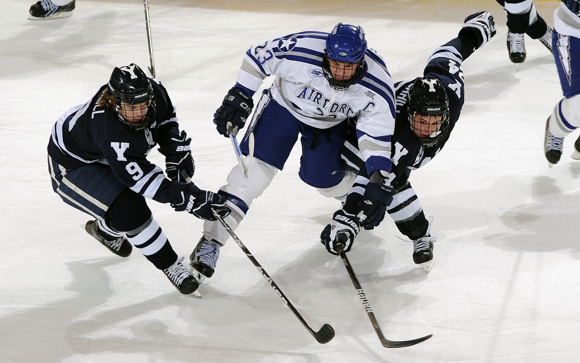 2026世界杯：场馆融合未来科技，观众体验空前提升，2026年世界杯球场