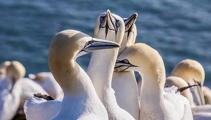 开云体育APP下载-中国足球职业俱乐部强化教练团队梯队构建，足球队教练组架构