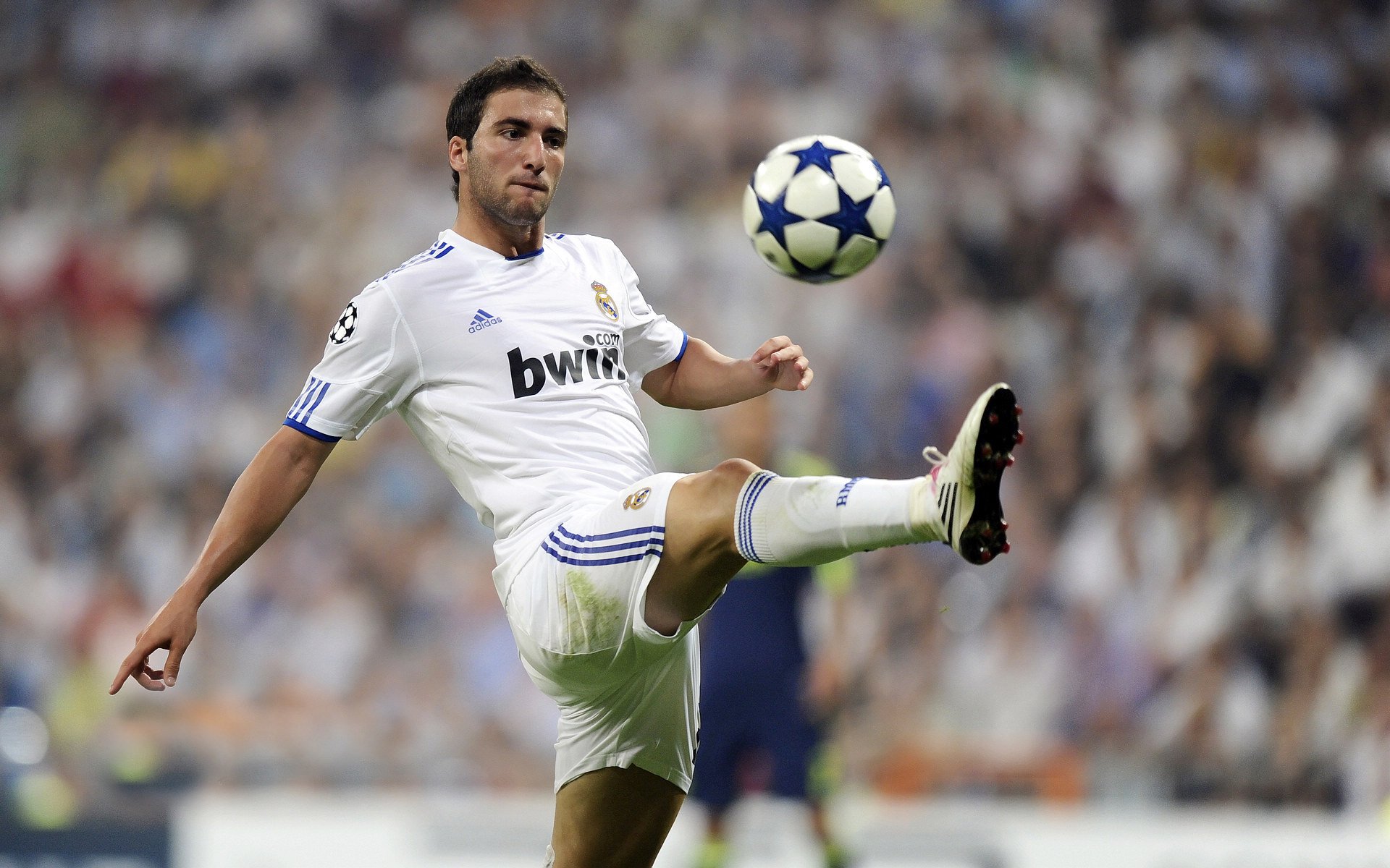 “南非羚羊队的秘密武器:诺克·达维德·彼得森的爆发”